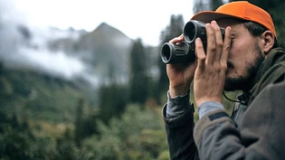 Pirsch künftig verboten: Damit das Skigebiet Elm ausbauen kann, soll ein zusätzliches Jagdbanngebiet im Kanton Glarus geschaffen werden. 