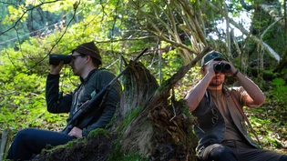 Die Fachkommission fordert den Staat dazu auf, sich zu überlegen, wie mit den psychischen Folgen der Wolfsbedrohung umgegangen werden soll. 