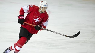Lukas Frick von Lausanne HC ersetzt Christian Marti