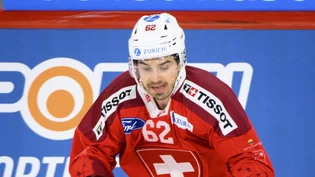 Denis Malgin konnte endlich wieder aufs Eis