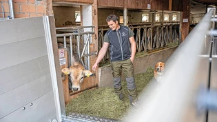 Neue Geschäftsidee auch für das Glarnerland: Der Appenzeller Damian Signer führt als Einziger in den Ostschweizer Kantonen Hof- und Weidetötungen durch und erspart damit allen Beteiligten viel Stress und Angst am Tag der Schlachtung. 