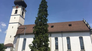 «Sehr schade und bitter»: Der Kaltbrunner Weihnachtsbaum bei der Kirche muss gefällt werden.