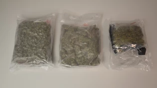 Sichergestelltes Betäubungsmittel: Etwa ein Kilogramm Marihuana wurde durch eine Personenkontrolle am Lago di Poschiavo entdeckt.