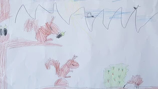 Mit dieser Zeichnung machte der siebenjährigen Mattia aus Schluein den Namensvorschlag.