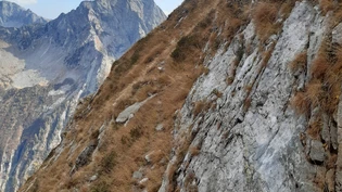Rund 2300 Meter über Meer: Der Unfall ereignete sich am Piz der Sambrog.
