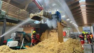 Im Stall: Das Feuer brach bei einem Futterwagen aus.