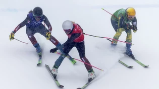 Umstrittener Olympia-Final: Fanny Smith (m.) im Kampf mit der Kanadierin Brittany Phelan (li.) und der Deutschen Daniela Maier