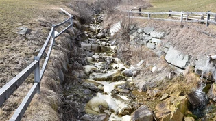Nach Gülle-Unfall: Die Fische haben nicht überlebt.