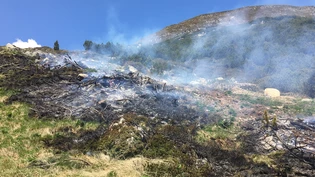 Auf der Südseite des Flüelapass: Ein Mottbrand zerstört Bäume und Weideland.