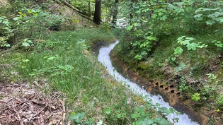 Der Trochenbach bei Sils im Prättigau: An diesem Ort fiel das Kind ins Wasser ...