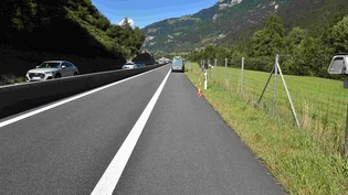 Wildschutzzaun beschädigt: Die Autofahrerin überfuhr den Zaun mehrere Meter.