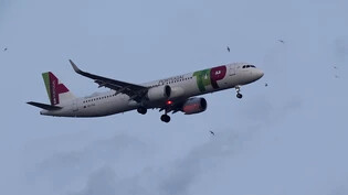 Ein Airbus A321 der portugiesischen Fluglinie TAP beim Landeanflug in Lissabon. (Archivbild)