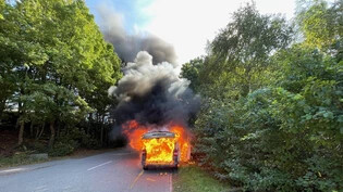 Lieferwagen brennt: Aufgrund der Nähe zu Bäumen und Sträuchern bestand eine akute Übergriffsgefahr.