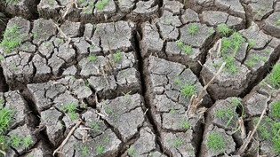 Die Dürre im Mittelmeerraum hat dem europäischen Erdbeobachtungsprogramm Copernicus zufolge über die Wintermonaten angehalten, was zum Teil zu Wassereinschränkungen und Dürre-Notständen geführt hat. (Symbolbild)