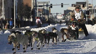 Mats Pettersson aus Schweden beim Start des Iditarod-Schlittenhunderennens Foto: Bob Hallinen/Anchorage Daily News via AP/dpa - ACHTUNG: Nur zur redaktionellen Verwendung und nur mit vollständiger Nennung des vorstehenden Credits