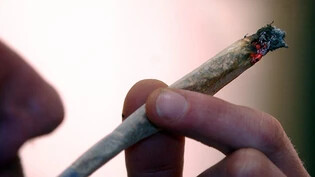 Eine Studie soll zeigen, wie sich der regulierte Cannabisverkauf auf die Konsumenten auswirkt. (Symbolbild)