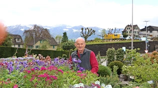 Salat könnte schon raus: Gärtner Martin Fleischlin hat ihn trotzdem noch im Gewächshaus stehen.