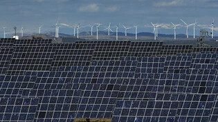 Die Produktion von Solaranlagen oder Windrädern soll laut EU-Parlament verstärkt nach Europa zurückgeholt werden. (Archivbild)