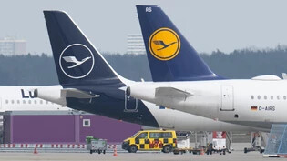 Die Deutsche Umwelthilfe  wirft der Lufthansa "dreiste Verbrauchertäuschung" und "Greenwashing" vor. (Archivbild)