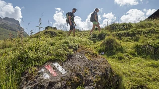 Auf dem richtigen Weg sein: Immer die Wanderweg-Markierungen beachten. 
