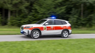 Ein Mann ist am Montagabend in der Berner Gemeinde Seeberg bei Forstarbeiten tödlich verunfallt. (Symbolbild)