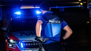 Ein Mann wurde am Sonntagabend am Bahnhof Bellinzona durch einen Stromschlag aus der Fahrleitung tödlich verletzt. (Symbolbild)