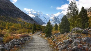 Dem Gletscher zum Greifen nah: Wer sich im Herbst in Richtung der höchsten Gipfel Graubündens aufmacht, schreitet durch ein Farbenmeer.