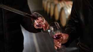 Gutes Ergebnis: Bei den insgesamt 19 untersuchten Weinen fiel nur ein Mangel auf.