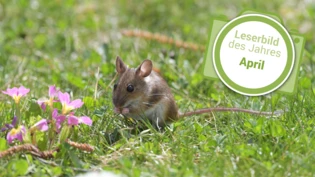 TITELBILD AUSBLENDEN