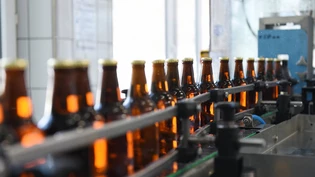 Genug Arbeit für die Abfüllmaschine in Schwanden: Die Brauerei Adler kann in nach der Flaschennot im Sommer und Anfang Herbst wieder im Normalbetrieb ihre Biere in die wiederverwendbaren braunen 29 cl-Flaschen abfüllen.