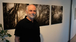 «Magischer Anblick»: Fridolin Walcher zeigt im Seminarhotel «Lihn» Wald- und Baumbilder aus verschiedenen Kontinenten.