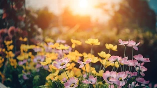 Bezaubernd: Gartenfreunde können im Rahmen der Aktion «Offener Garten» Blumen- und Obstgärten von fremden Personen besuchen.