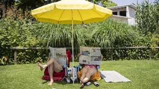Achtung vor der Sonne: Am Mittag sollte man den Schatten suchen. 