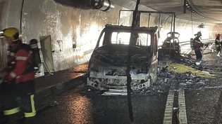 Sach- aber keinen Personenschaden: Der ausgebrannte Tiertransporter hat Schäden an der Tunnelinfrastruktur hinterlassen.