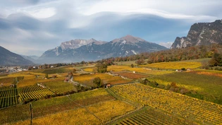 Herbststimmung, wohin das Auge reicht: Die Natur verfärbt sich in diesen Tag in herbstlichen Tönen.