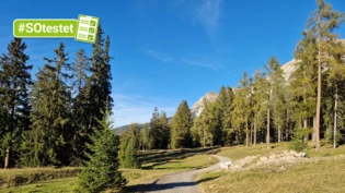 Herbstzeit in Lenz: Auf dem Wanderweg kann auch noch am späten Nachmittag Sonne getankt werden.