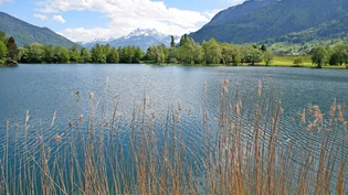 Noch ist Baden im Hirschlensee verboten: Das soll sich ändern. Die Gemeinde Reichenburg will eine Badi bauen. 