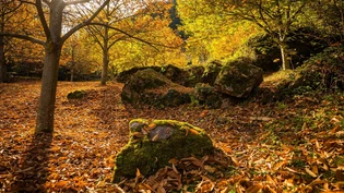 November: Sobald die Berggipfel vom ersten Schnee des nahenden Winters angezuckert sind, locken herbstliche Wanderungen und Spaziergänge ins Tal.