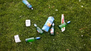 Gefährliche Fremdkörper: Vor allem an den Strassen liegt im Glarnerland immer wieder Müll rum.