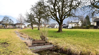 Grosses Potenzial: Das Chli Linthli mit den angrenzenden Obstbäumen soll aufgewertet werden.