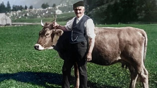«Fridli mit der Kuh»: Ein Foto von Albert Heim mit der Richisauer Schwammhöhe im Hintergrund, 1898.