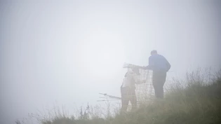 Draussen bei jeder Witterung: Ein Hirt bricht der mit Unterstützung seines Alpmeisters den Zaun einer Alpweide ab.