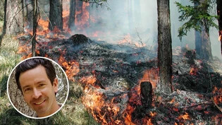 Der Experte erklärt: Maurus Frei von der Abteilung Wald und Naturgefahren informiert über Glarner Waldbrände.