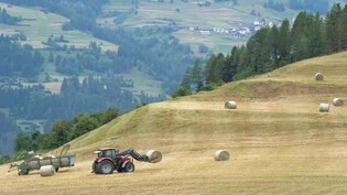 Trotz allen Schwierigkeiten: In den meisten Regionen – wie hier in Brienz/Brinzauls – konnte die Landwirtschaft eine gute Heuernte einfahren.