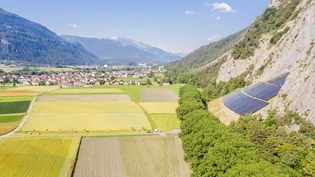 Eine Gefahr für Fussgänger: Seit die Baumallee unterhalb des ehemaligen Steinbruchs gefällt wurde, ist Platz für neue Solarzellen.