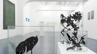 Ultraschwarze Gewächse: Das Künstlerduo Huber / Huber zeigt in der Galerie Luciano Fasciati in Chur unter anderem eine Installation mit Pflanzen in Glaskuben. 