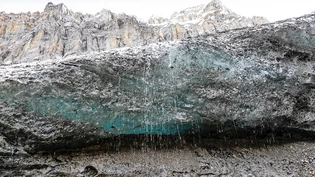 Veränderung: Durch den Klimawandel schmelzen nicht nur die Gletscher, es gibt ausserdem eine Verschiebung der Arten.