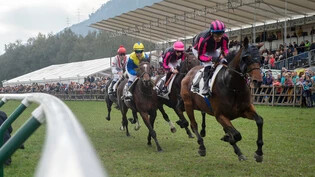 Action auf das Rossriet: An den nächsten beiden Sonntagen wird in Maienfeld Pferderennsport vom feinsten geboten.