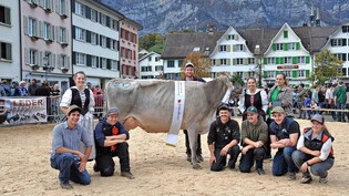 Miss Glarus 2022: Braunvieh-Kuh Kalinka von Züchter Philipp Zweifel aus Linthal ist aktuell die schönste im Glarnerland. 