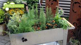 Kleiner Garten: Viele Hobbygärtnerinnen – und Gärtner nutzen ein Hochbeet, um auf einfache Art und Weise Kräuter anzupflanzen – die beim richtigen Umgang auch den Winter überstehen.